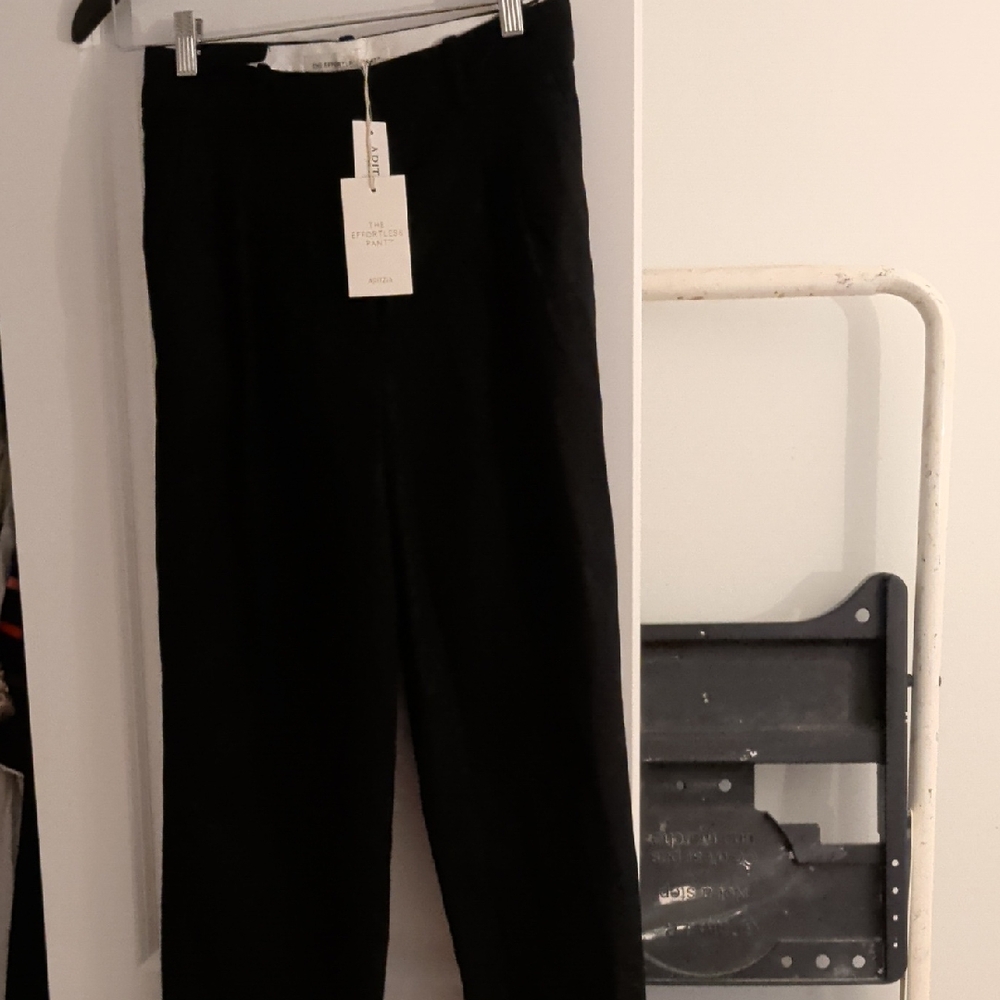 Brand New Aritzia Thick Winter "The Effortless Pant Size 6 Wool/Cashmere